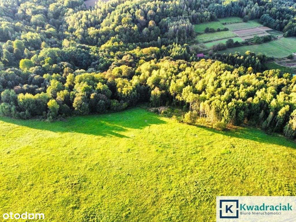 Działka w Lutczy idealna pod Inwestycję – 4,48 ha-4