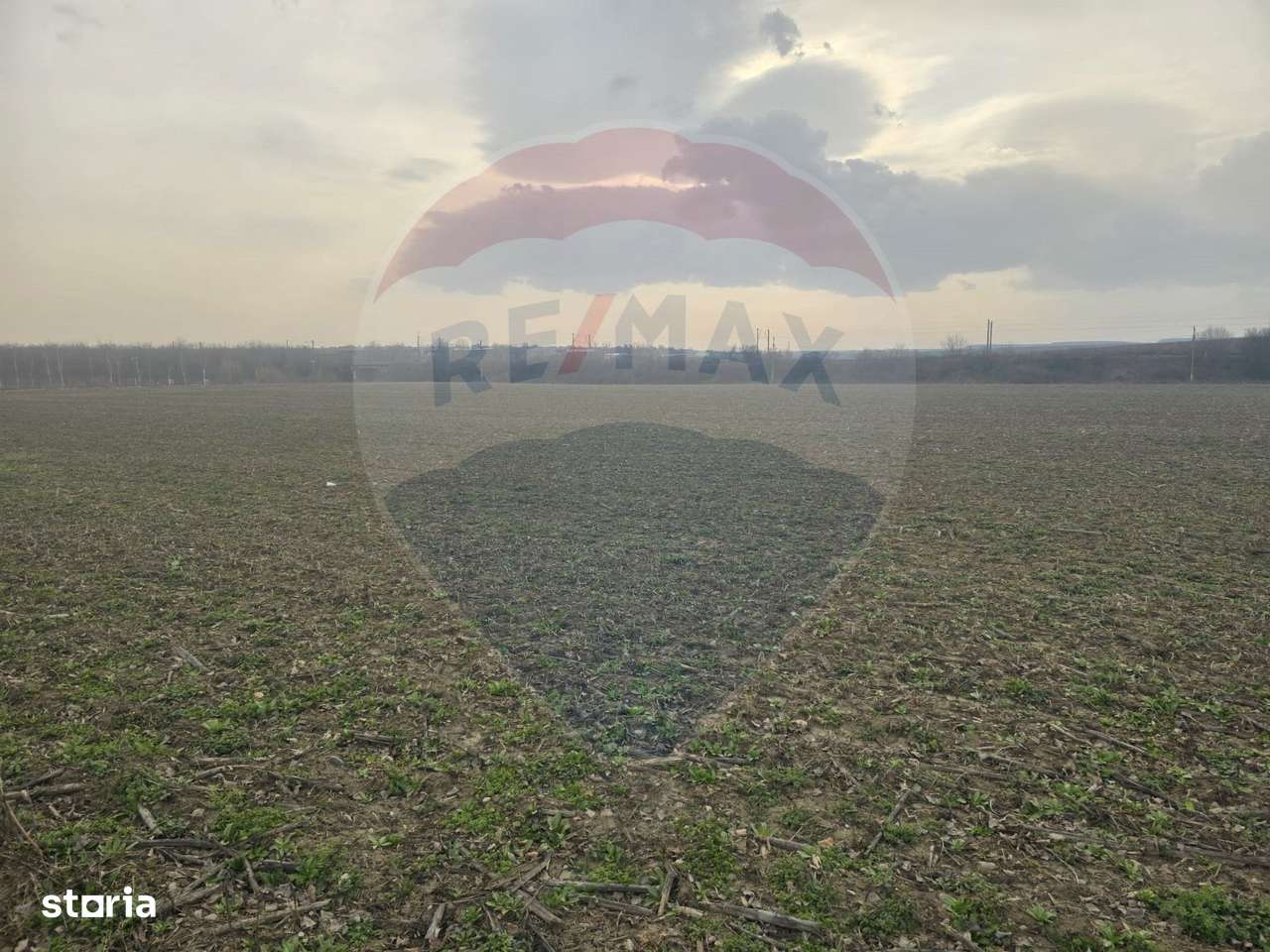 Teren intravilan 9911mp de vânzare, Berești-Bistrița/ E85 - Imagine principală: 4/4