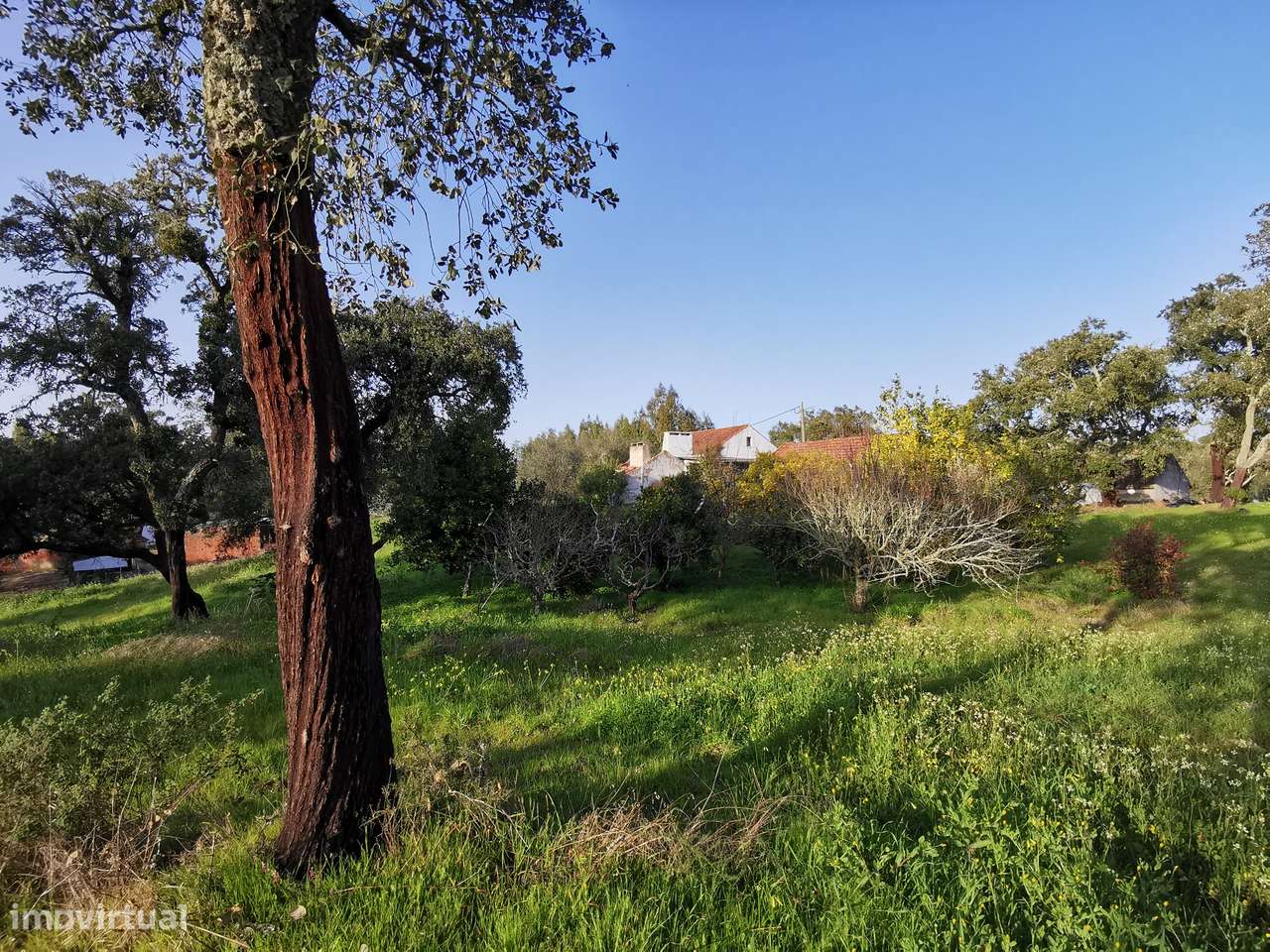 Moradia T2  Lamarosa de Coruche-28