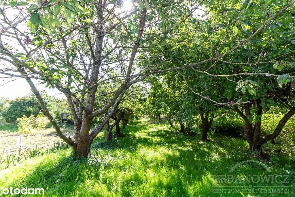 Gorzebądz, działka budowlana, 13 km od morza - Pełny obrazek: 4/20