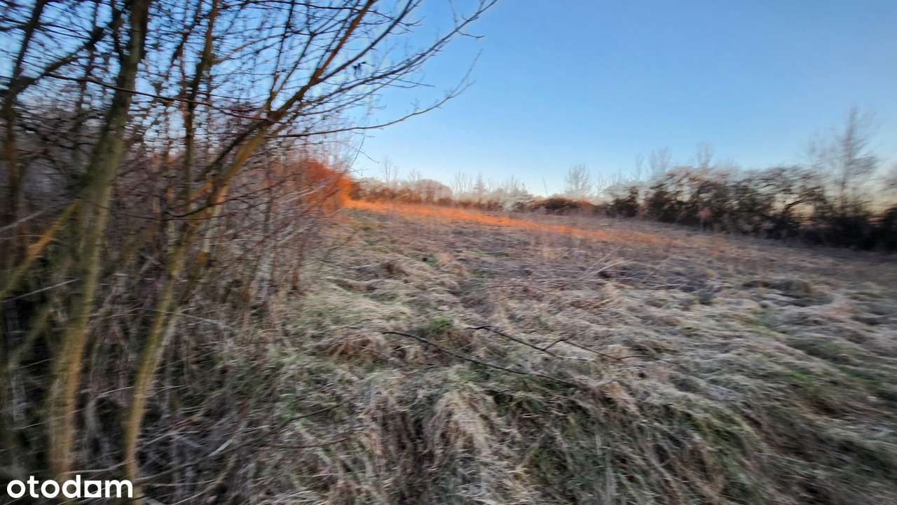 Działka na sprzedaż w spokojnej okolicy Niegowonice ul.Kościelna-3
