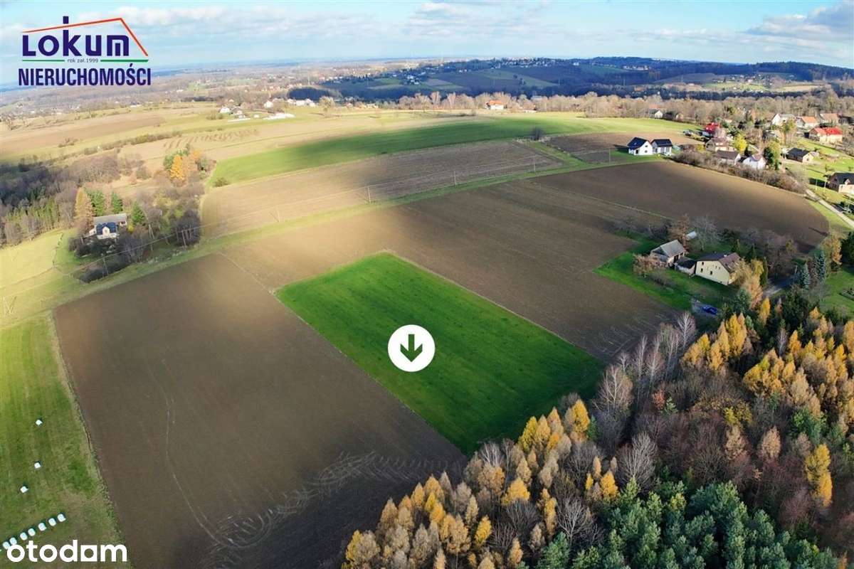 Iskrzyczyn - 3038 m2, budowlano-rolna, dojazd asfalt - Pełny obrazek: 4/14