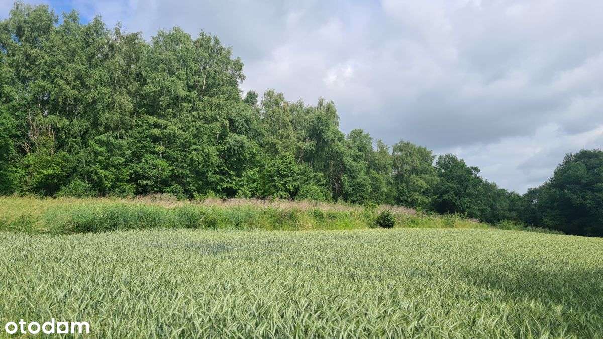 Działka rekreacyjna w cichej okolicy-6