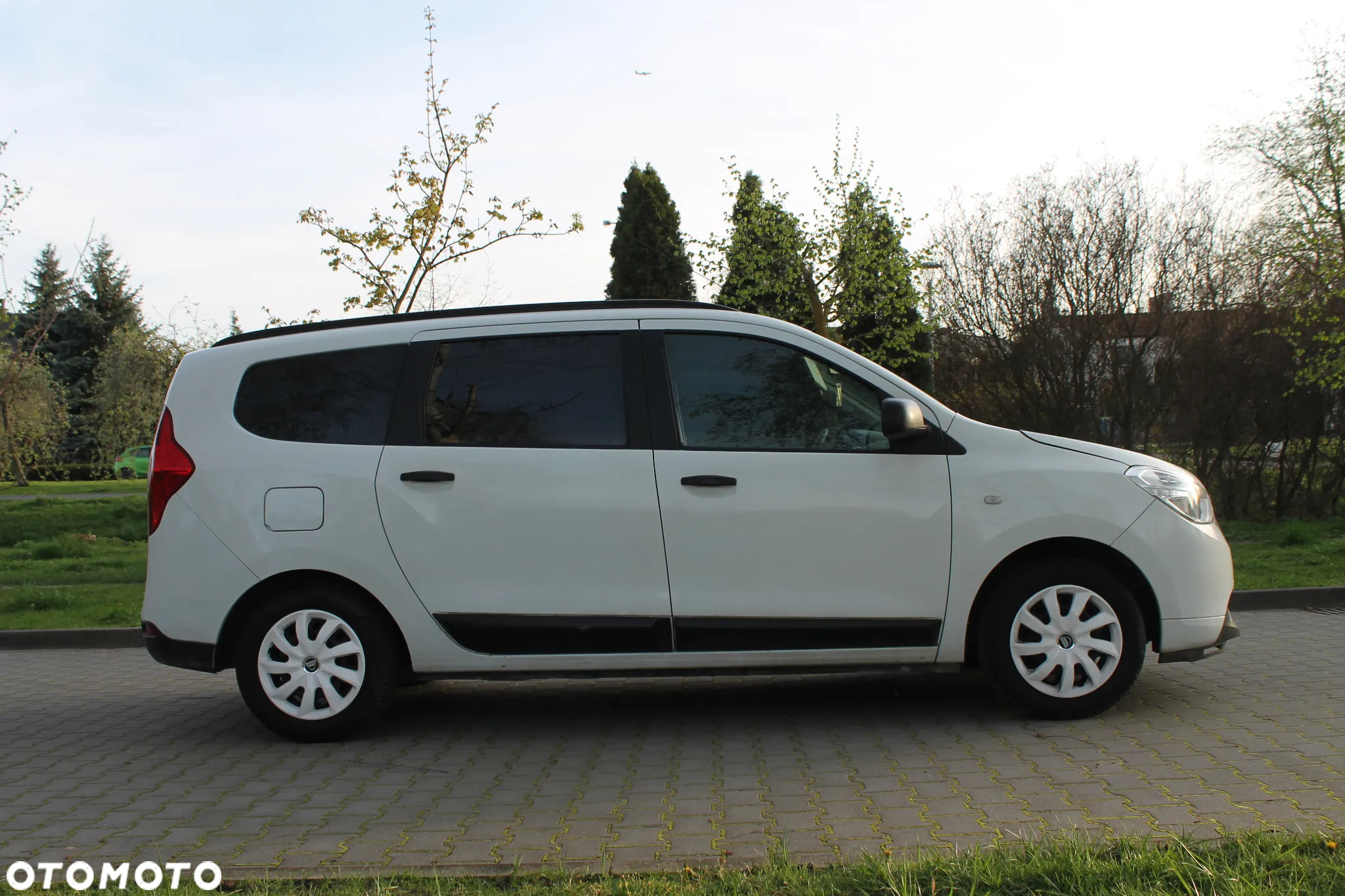 Dacia Lodgy 1.6 SCe Access S&S - 3