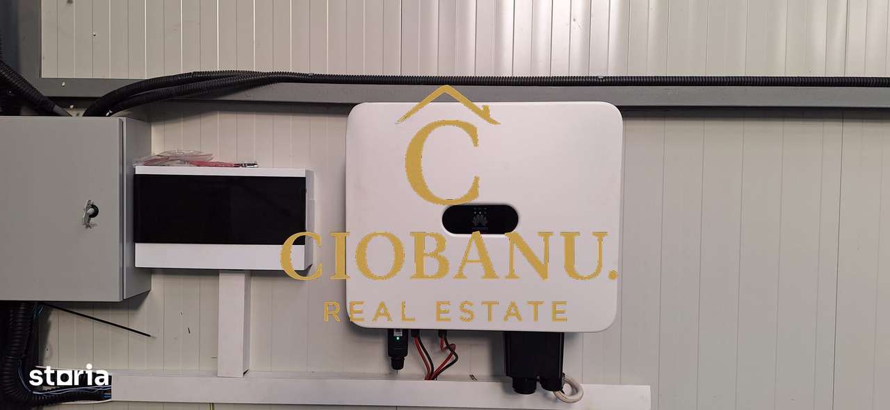 Hala de vanzare in Racarii de Jos-5