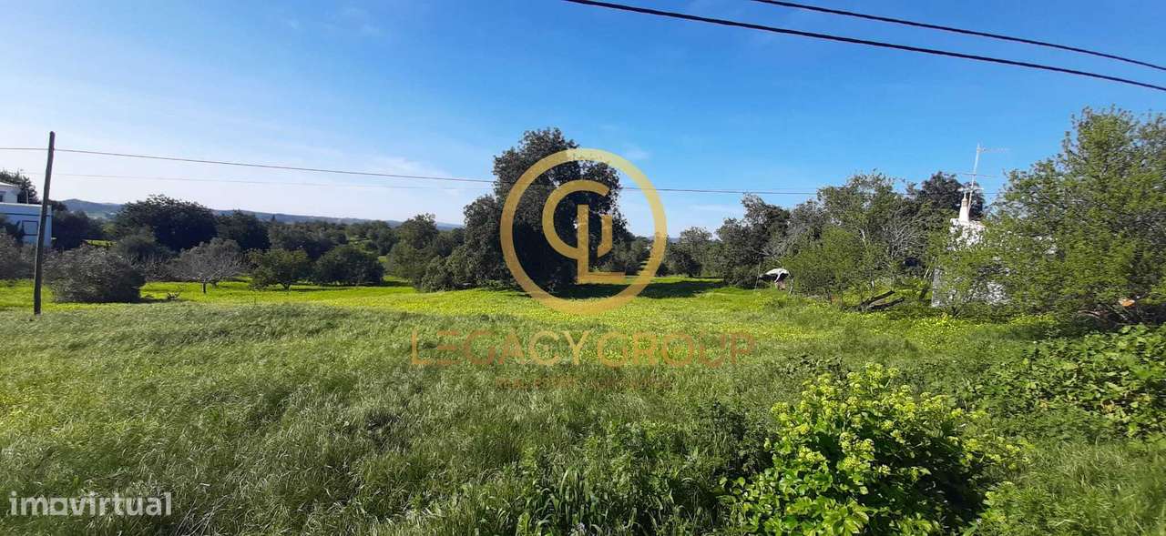 Terreno Rústico – Sítio dos Alhos, Conceição de Tavira-5