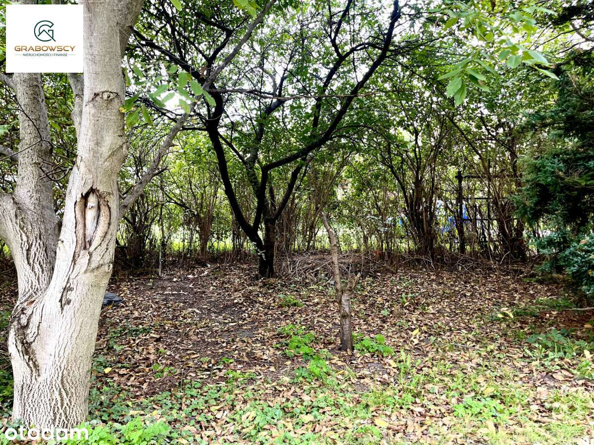 Klimatyczna kawalerka w centrum z ogrodem!-6