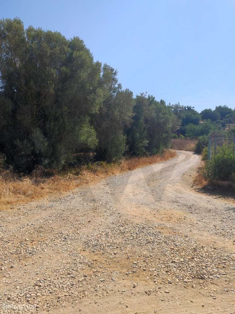 Terreno rústico com 4040m2, localizado em Quelfes - Olhão - Grande imagem: 5/12