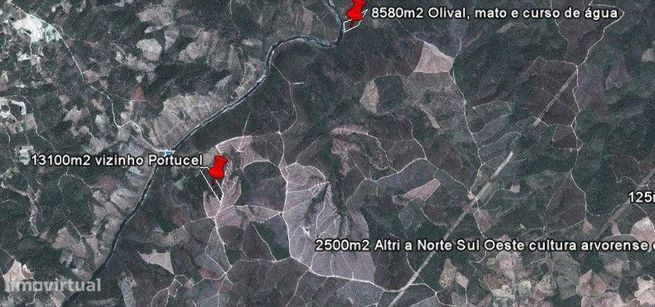 Conjunto 4 terrenos em Castelo Branco: 2 Retaxo + 2 Sarnadas de Rodao-9