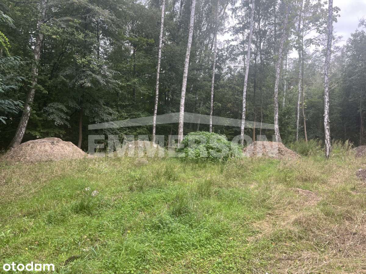 Pod bliźniaka lub wolnostojący-2