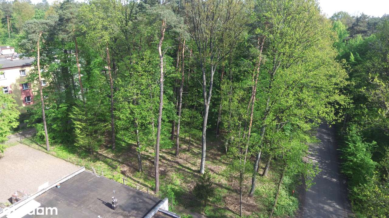 Działka z warunkami zabudowy prawie w Łodzi; media-1