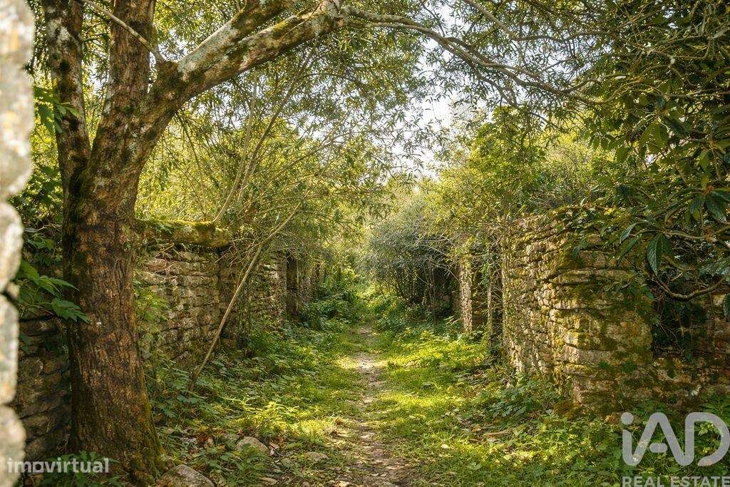 Casa de Campo em Chãos - Grande imagem: 4/7