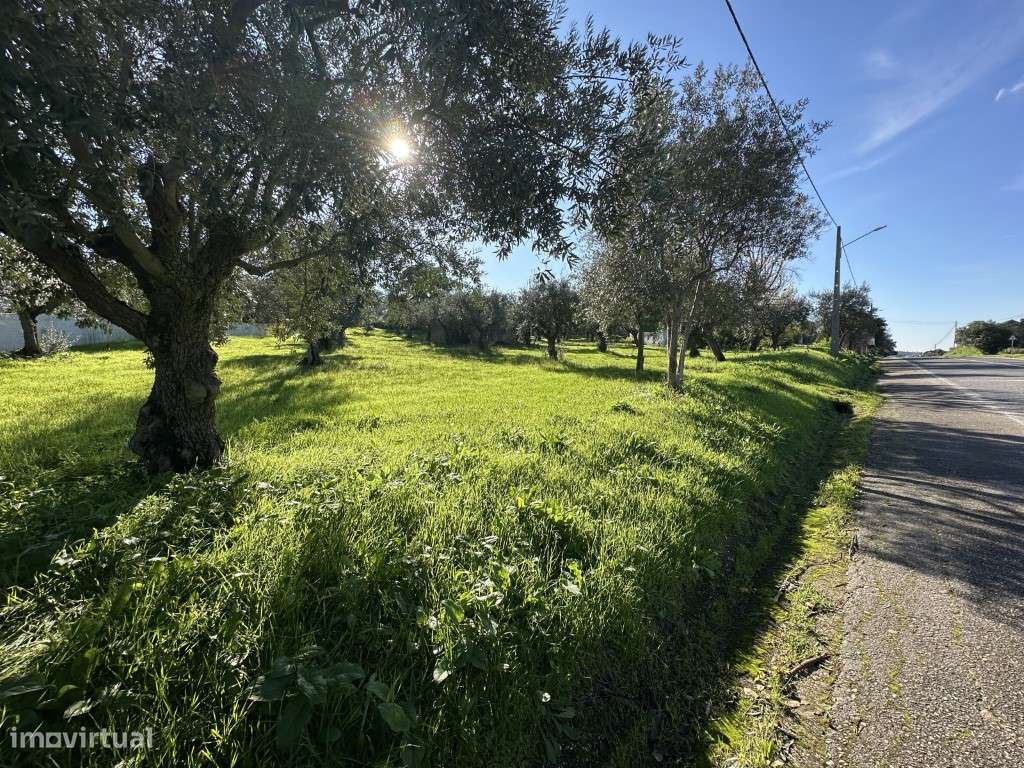 Terreno para construção urbana - Grande imagem: 4/21