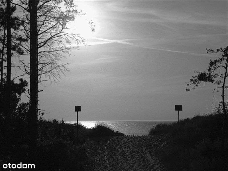 Działka inwestycyjna z potencjałem Nowa Cena-3