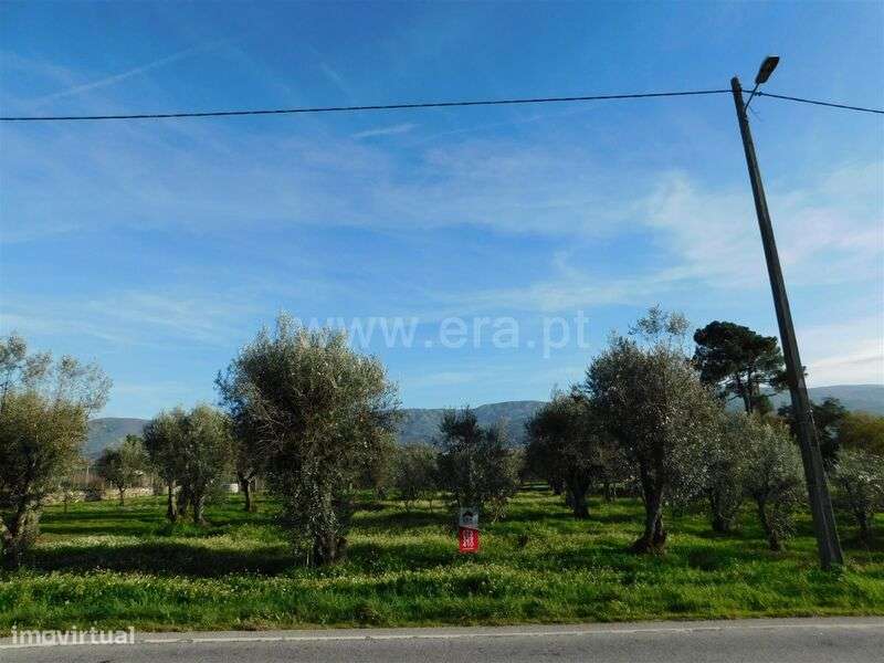 Terreno Rústico / Gouveia, Lagarinhos - Grande imagem: 4/6