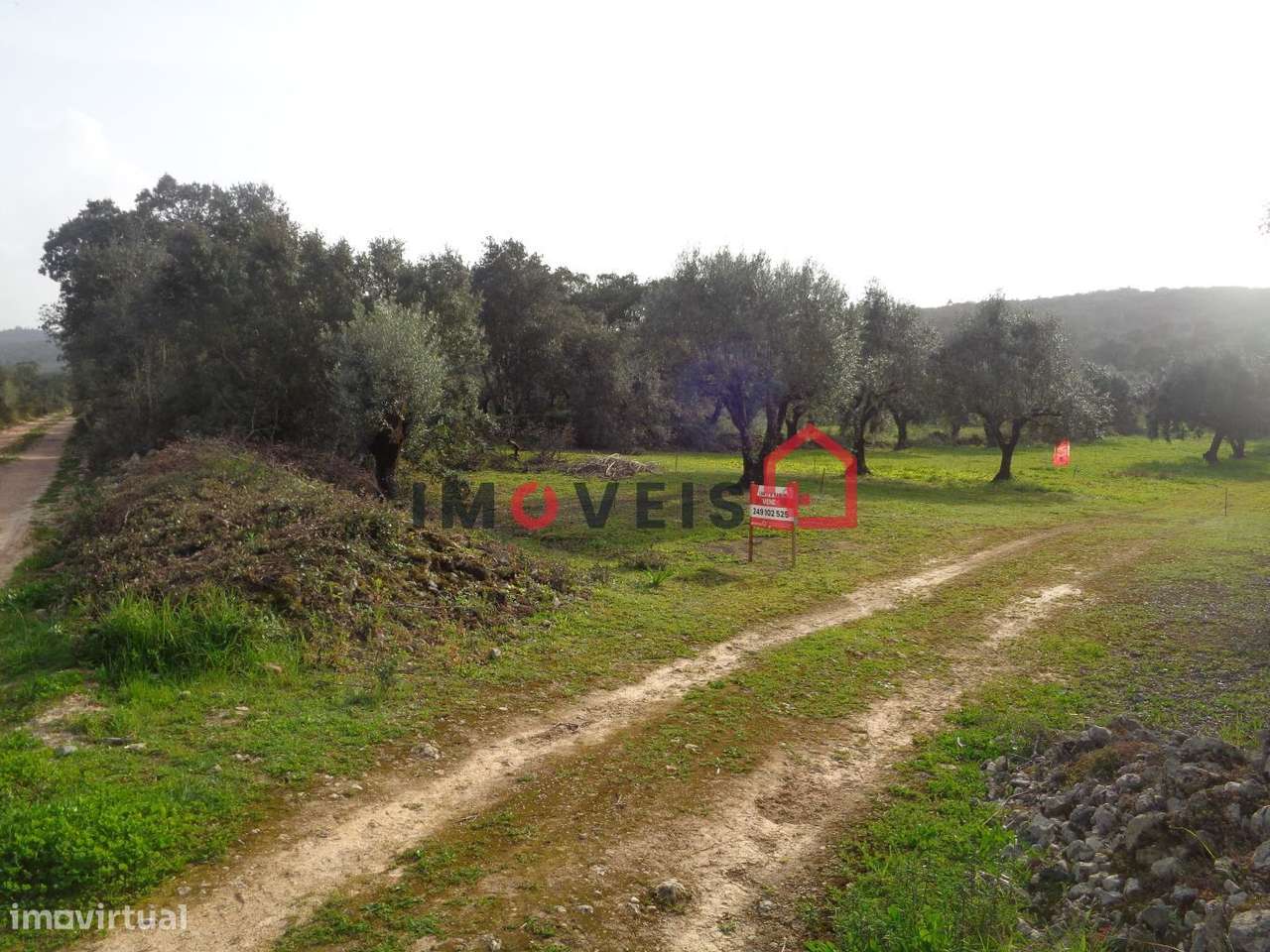 Terreno Rústico - Grande imagem: 1/6