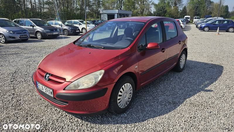 Peugeot 307 1.6 Trendy - 2