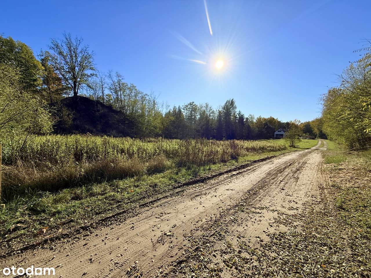 Działka 1983 m² w Józefowie, ul. Leśna – idealne miejsce na Twój dom-5