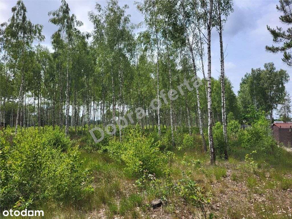 Szukasz ciszy, lubisz przyrodę... - Pełny obrazek: 4/12