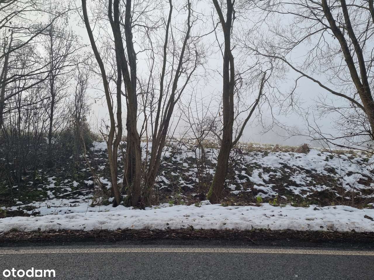 Działka inwestycyjna-5