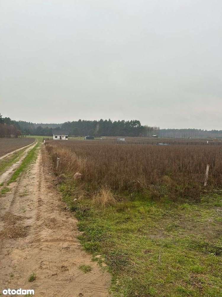 Działki budowlane Nowy Sumin gmina Cekcyn - Pełny obrazek: 5/15