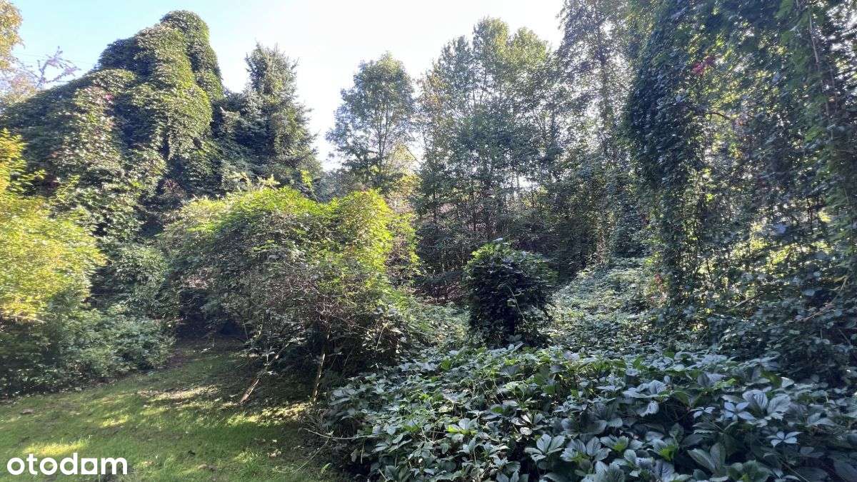 Inwestycyjna działka w Sierczy 39 ar, Pum 1000 m²-12