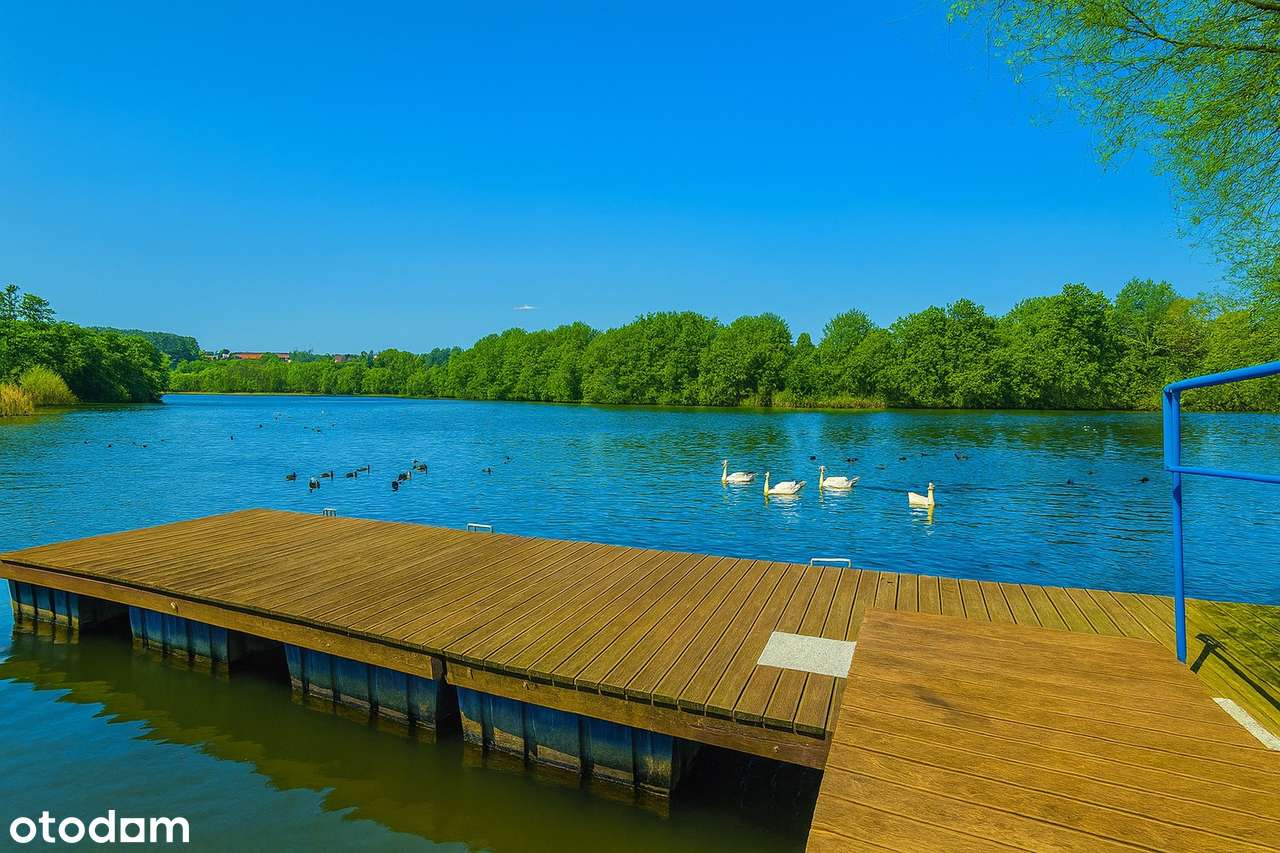 Pięknie położona działka w otulinie lasu w cichej okolicy. - Pełny obrazek: 3/15