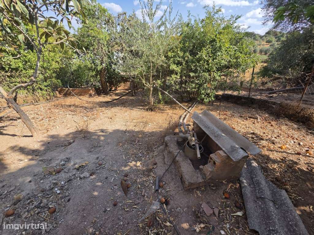 Moradia T3 em Vila Viçosa, com garagem, inserida em lote de 3500 m2-18