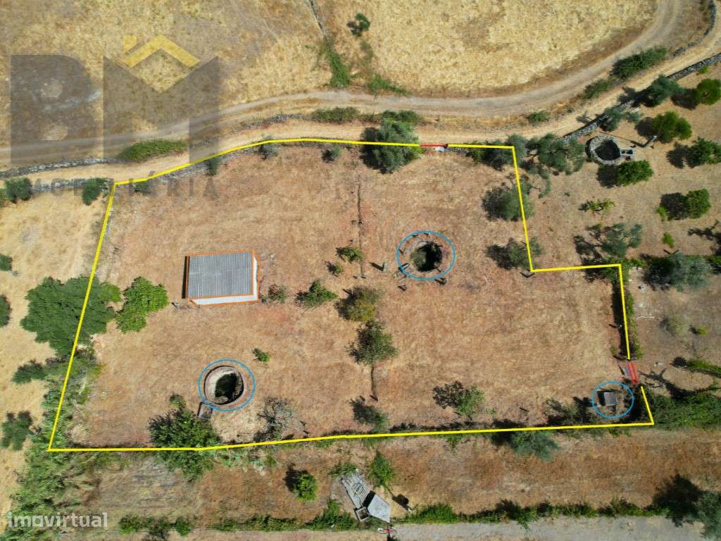 Quintinha em Escalos de Cima - A 12 km de Castelo Branco - Grande imagem: 3/15