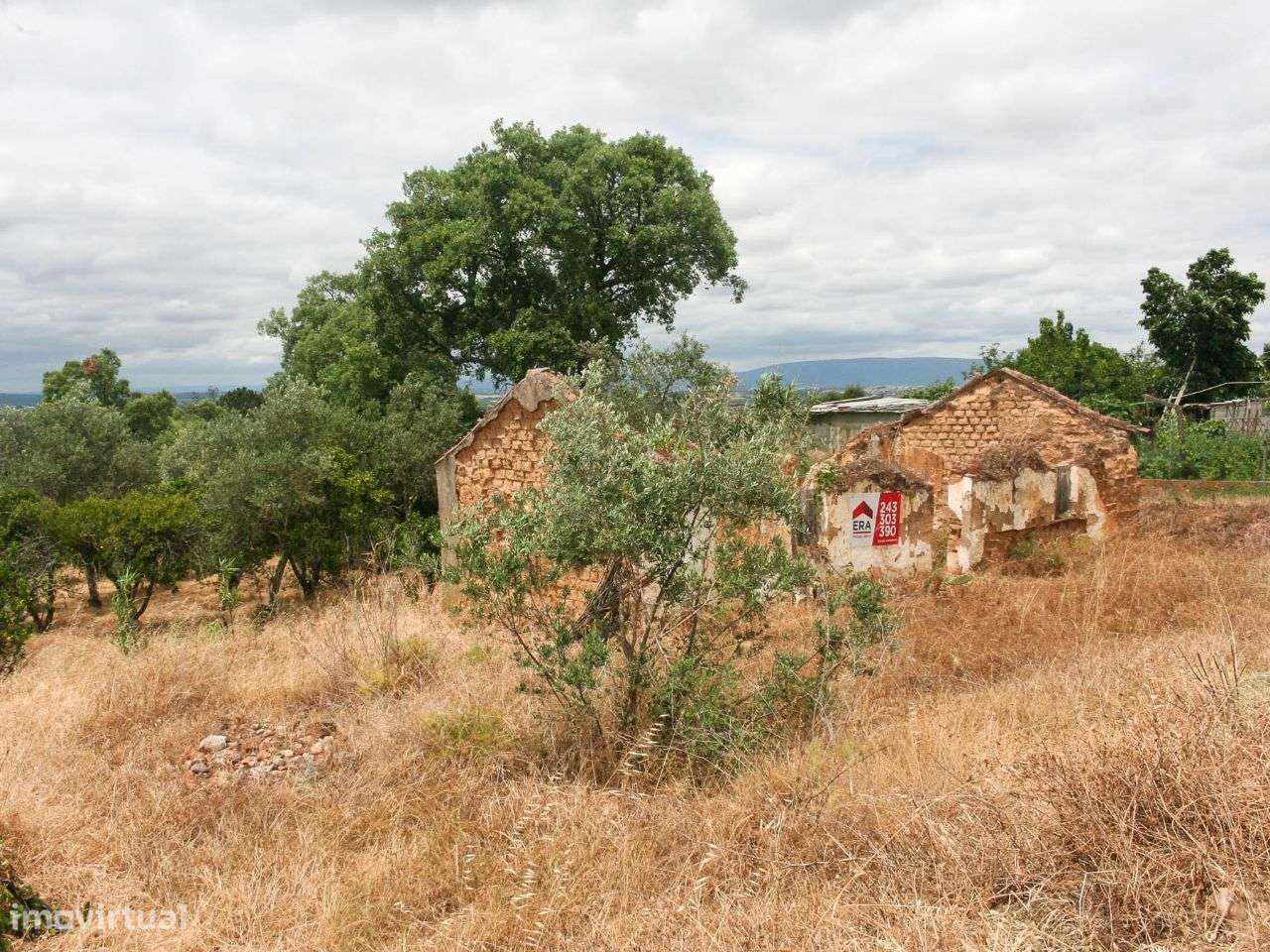 Terreno com Moradia Rústica para Reconstruir - Grande imagem: 3/11