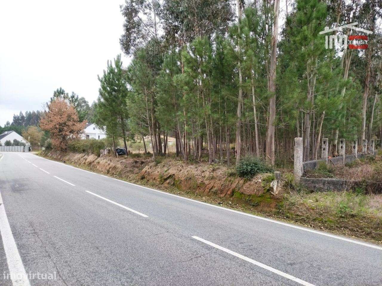 Terreno rústico com viabilidade de construção. - Grande imagem: 2/3