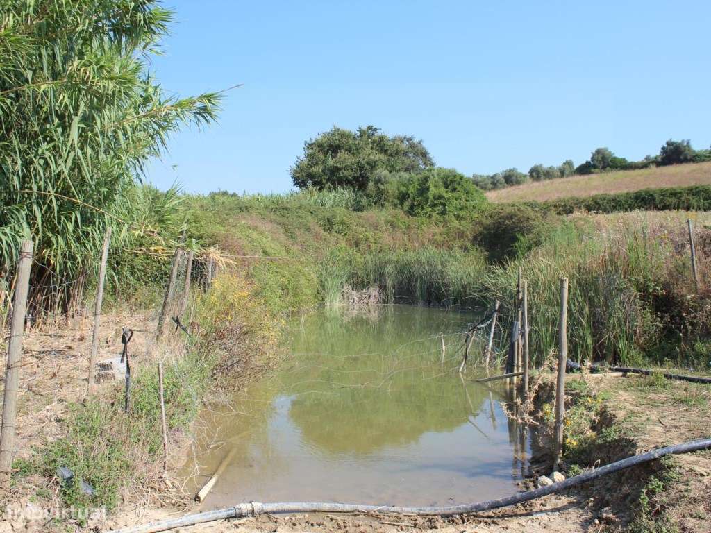Casa de Campo, terreno, vista panorâmica concelho Rio Maior-25