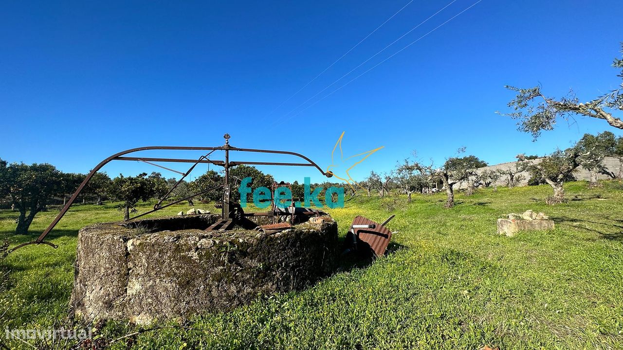 Quinta com Construção em Lousa