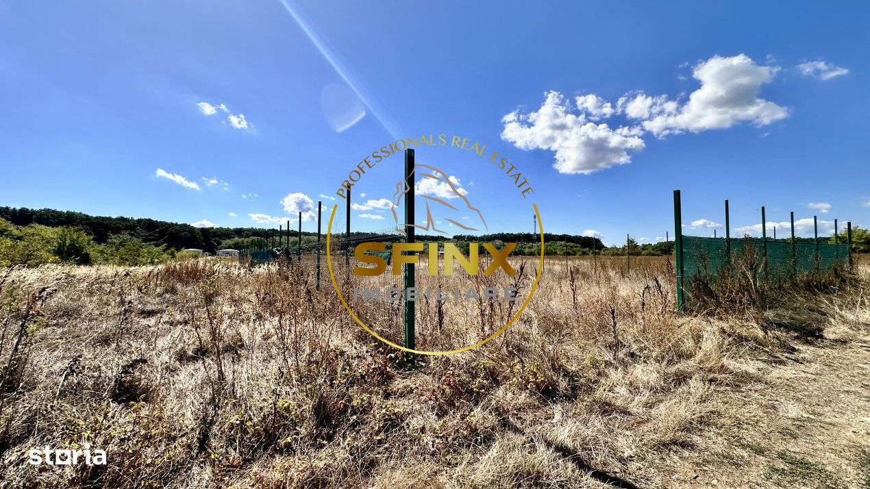 Corbeanca 5000 mp, deschidere 22 m la Drum asfaltat, padure, utilitati-7