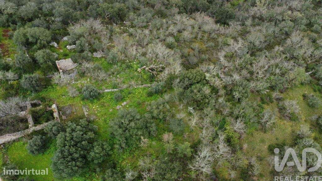 Terreno em Chãos de 480,00 m2 - Grande imagem: 5/26