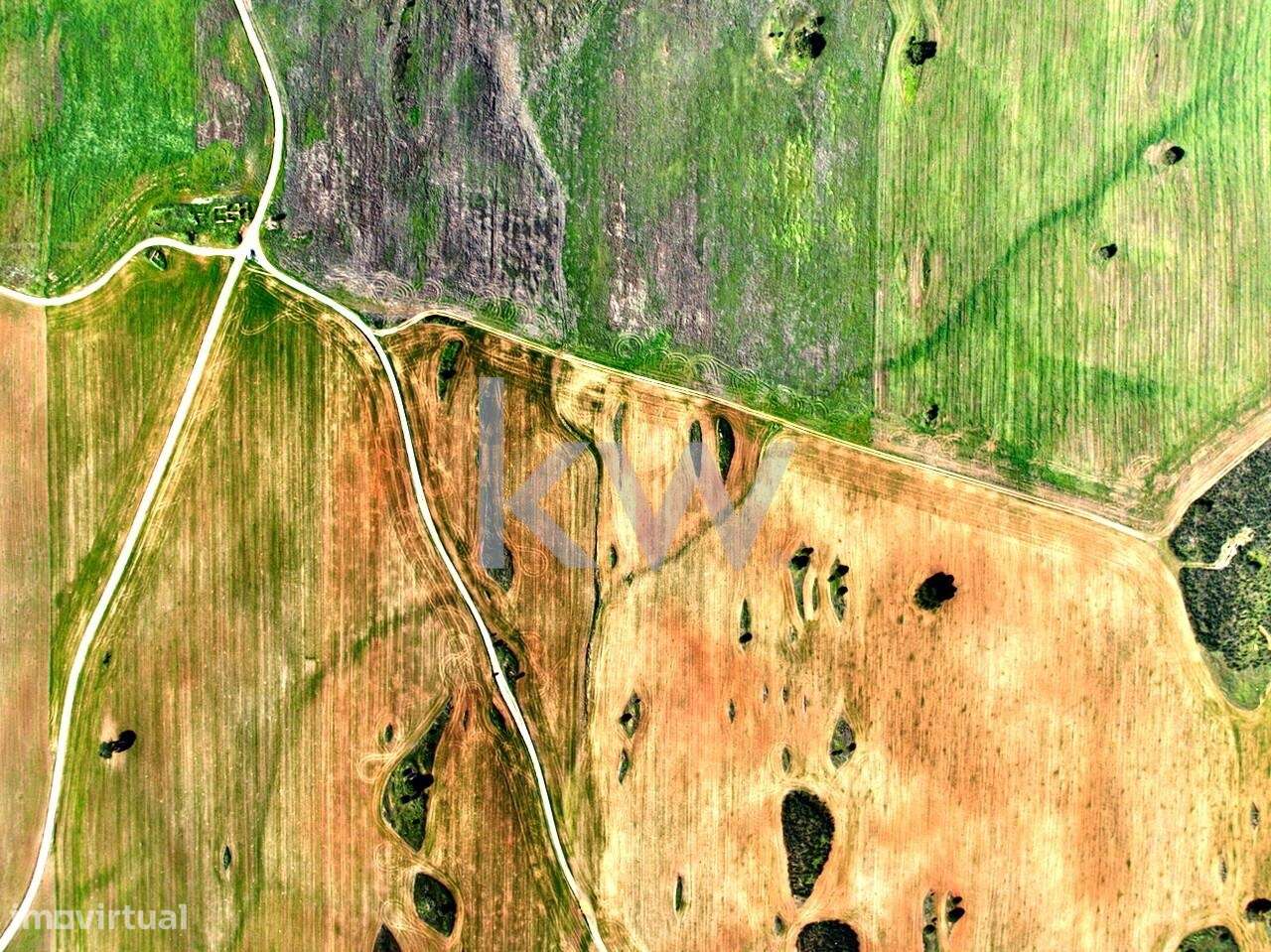 Oportunidade Exclusiva no Coração do Alentejo: Terreno com Potencial A - Grande imagem: 5/24