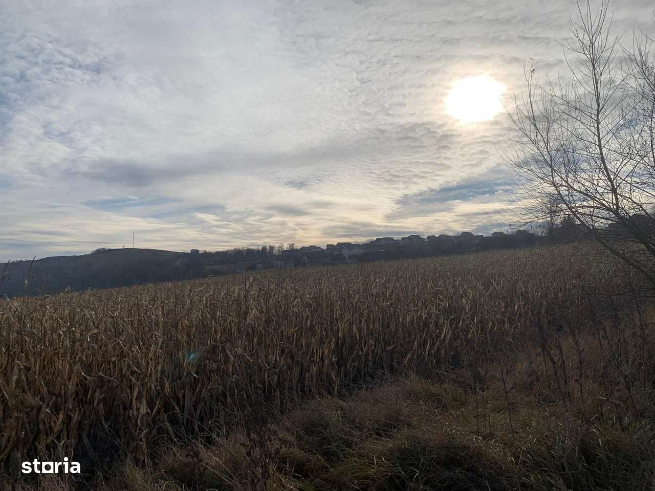 Teren intravilan de vânzare | Cajvana | 7.800 mp-9