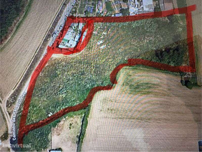 Terreno para agricultura ou criação de animais- Maia - Grande imagem: 4/5