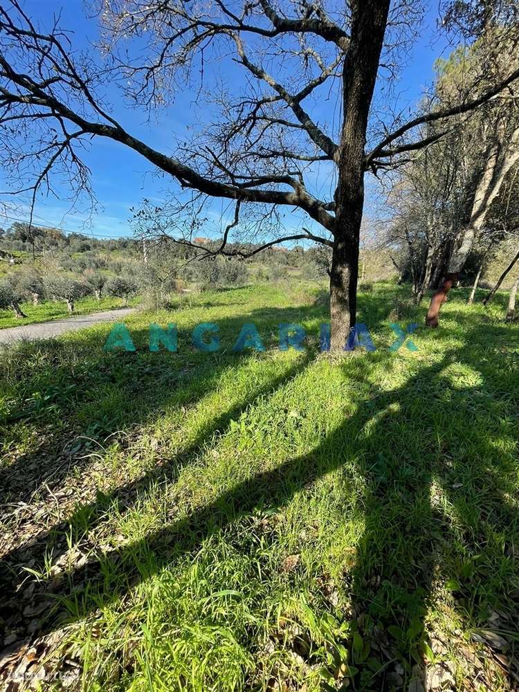 ANG1540 - Terreno para Venda em Alviobeira, Tomar - Grande imagem: 4/5
