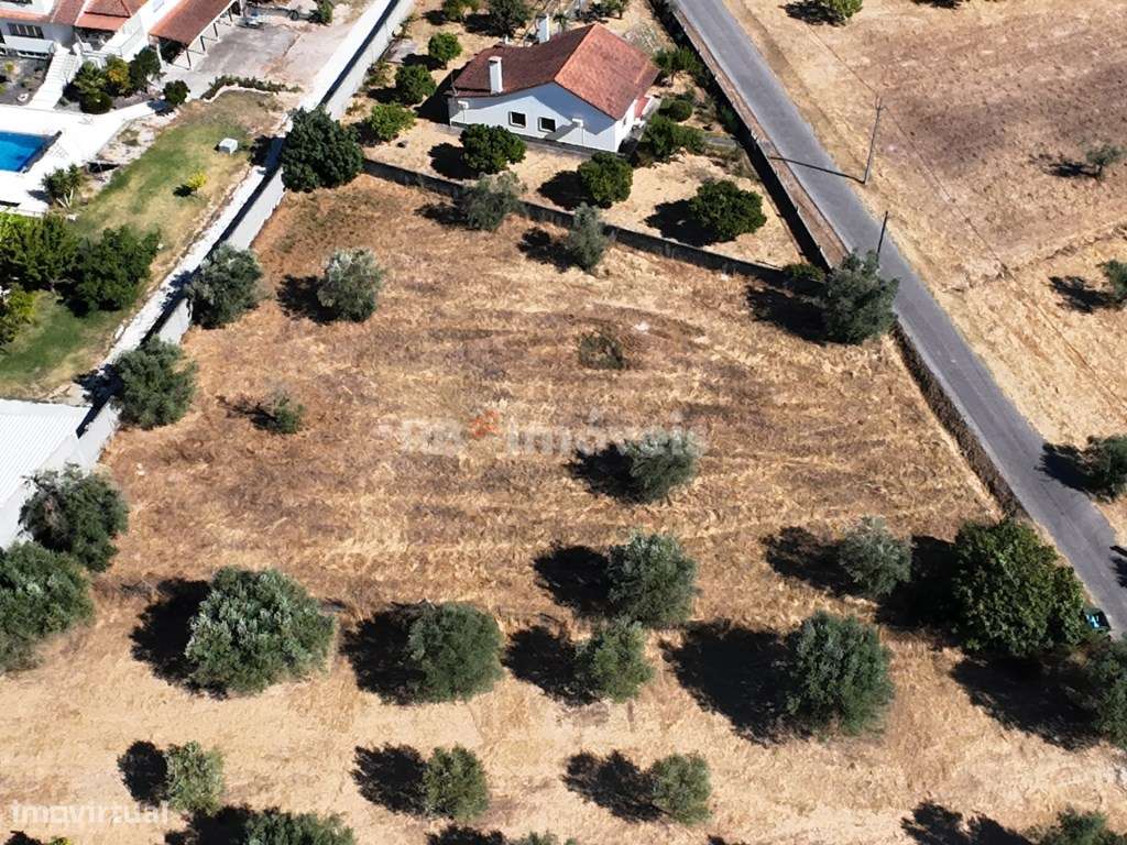 Terreno urbano com 1600m² - Peralva, concelho de Tomar - Grande imagem: 4/9