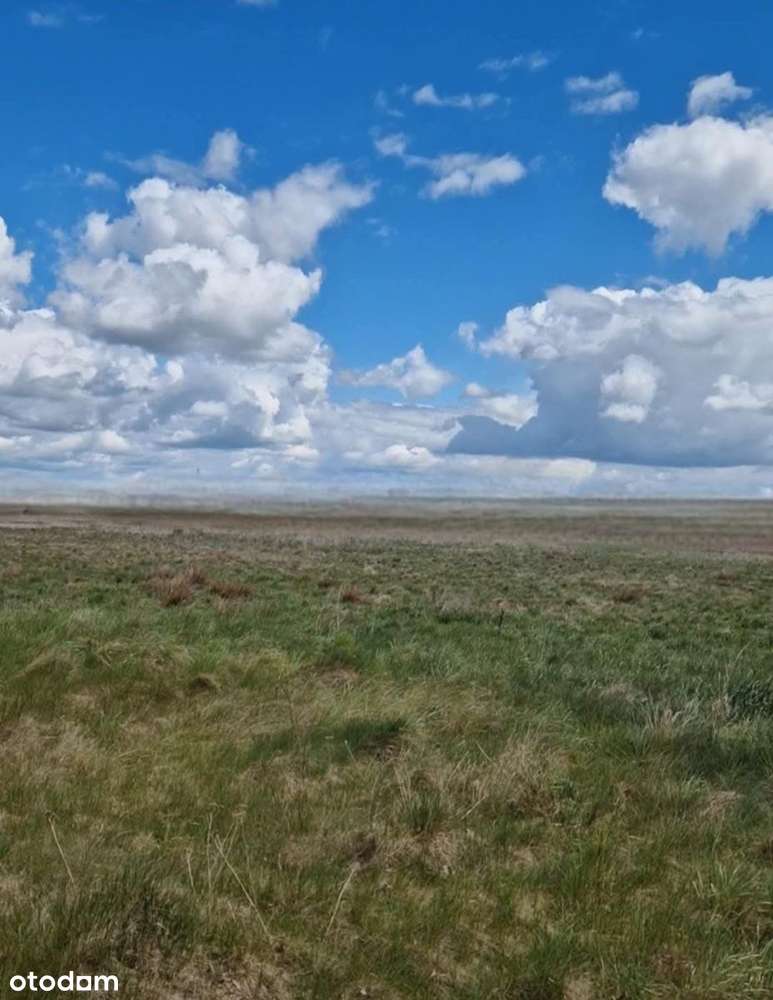 Działka z WZ Borsukówka gm. Dobrzyniewo Duże - Pełny obrazek: 2/5