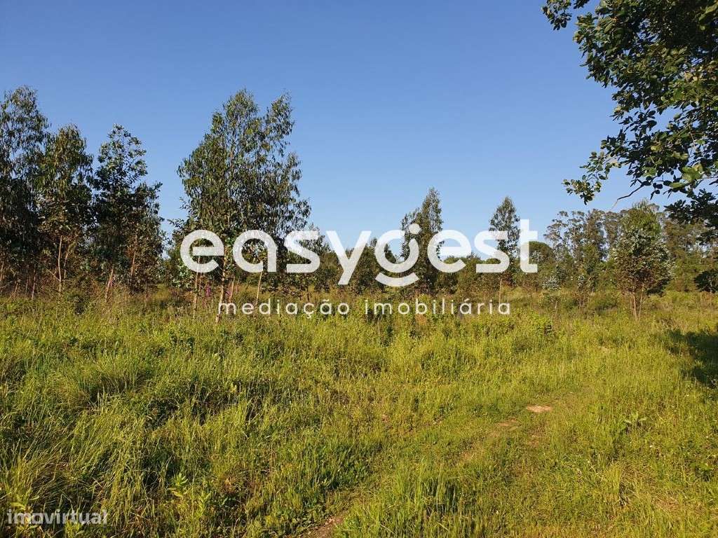 Terreno para construção entrada de Soure, junto área comercial - Grande imagem: 2/2