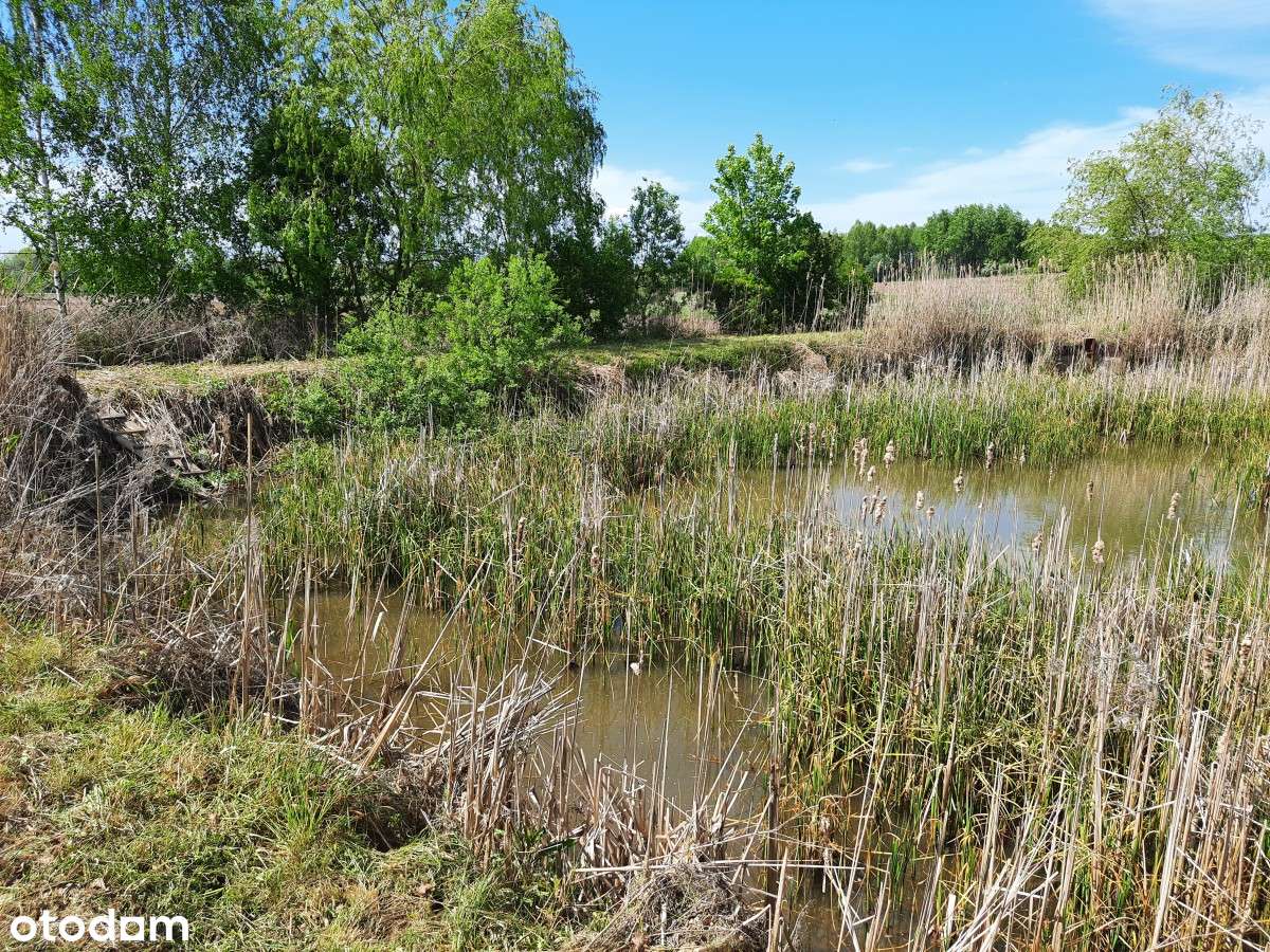 Sale -10% Jura działka budowlana 3261m2 ze stawem  tylko 168.000 zł-2