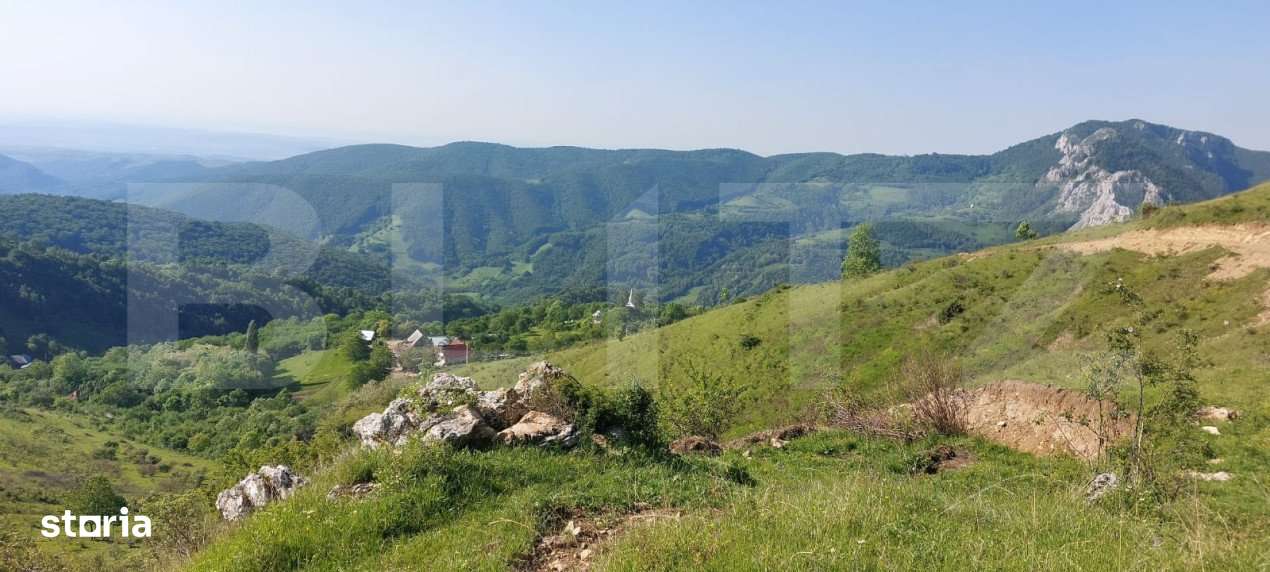 Teren extravilan pentru cabana, 3800 mp, zona-Ramet Transapuseana - Imagine principală: 1/4