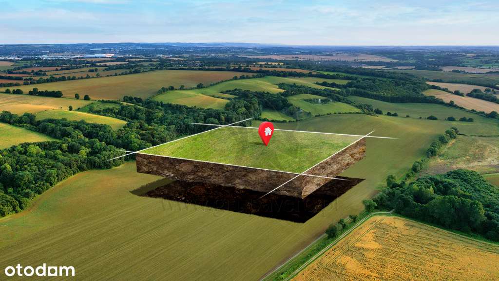 Projekt za free - to uczciwa cena - Pełny obrazek: 5/20