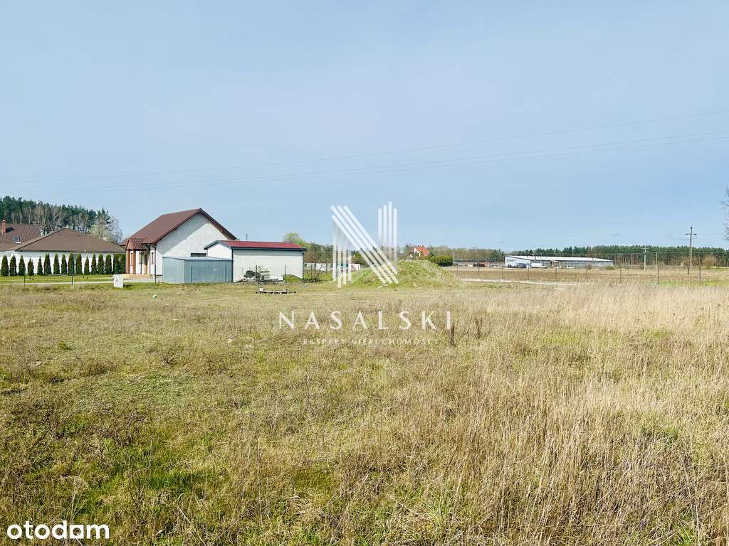 Działka Budowlana Dąbrowa Chełmińska  1582m2 - Pełny obrazek: 4/9