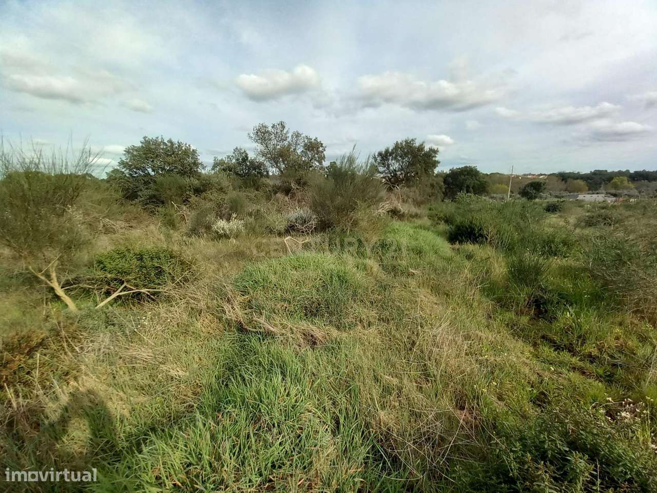 Terreno Rústico Póvoa e Rio de Moinhos, Castelo Branco. - Grande imagem: 3/14