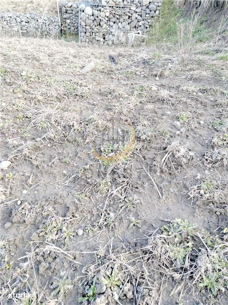 Teren industrial Ernei 1ha cu PUZ-10