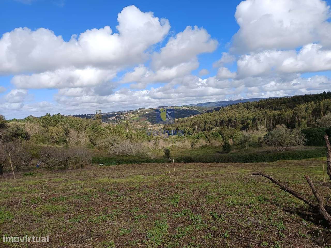 Moradia + Adega + Anexos com uma área  total de 787m2 situada em Casal-9