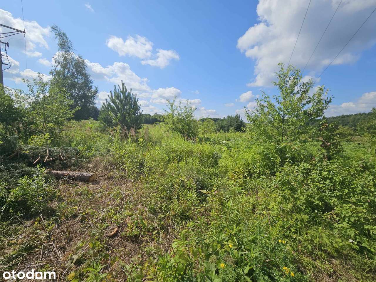 Inwestycja pod dom marzeń - działki budowlane w Jaworznie-6